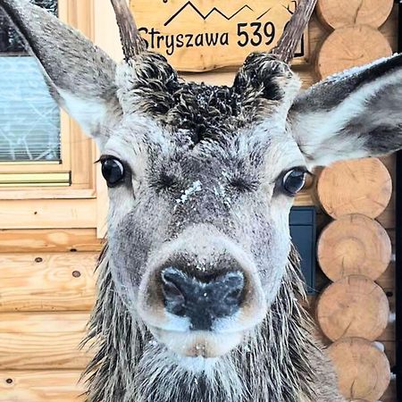 Sielsko Anielsko Villa Stryszawa Dış mekan fotoğraf